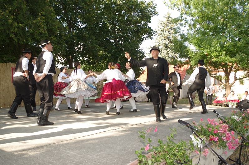 LEVI2751 (Medium).JPG